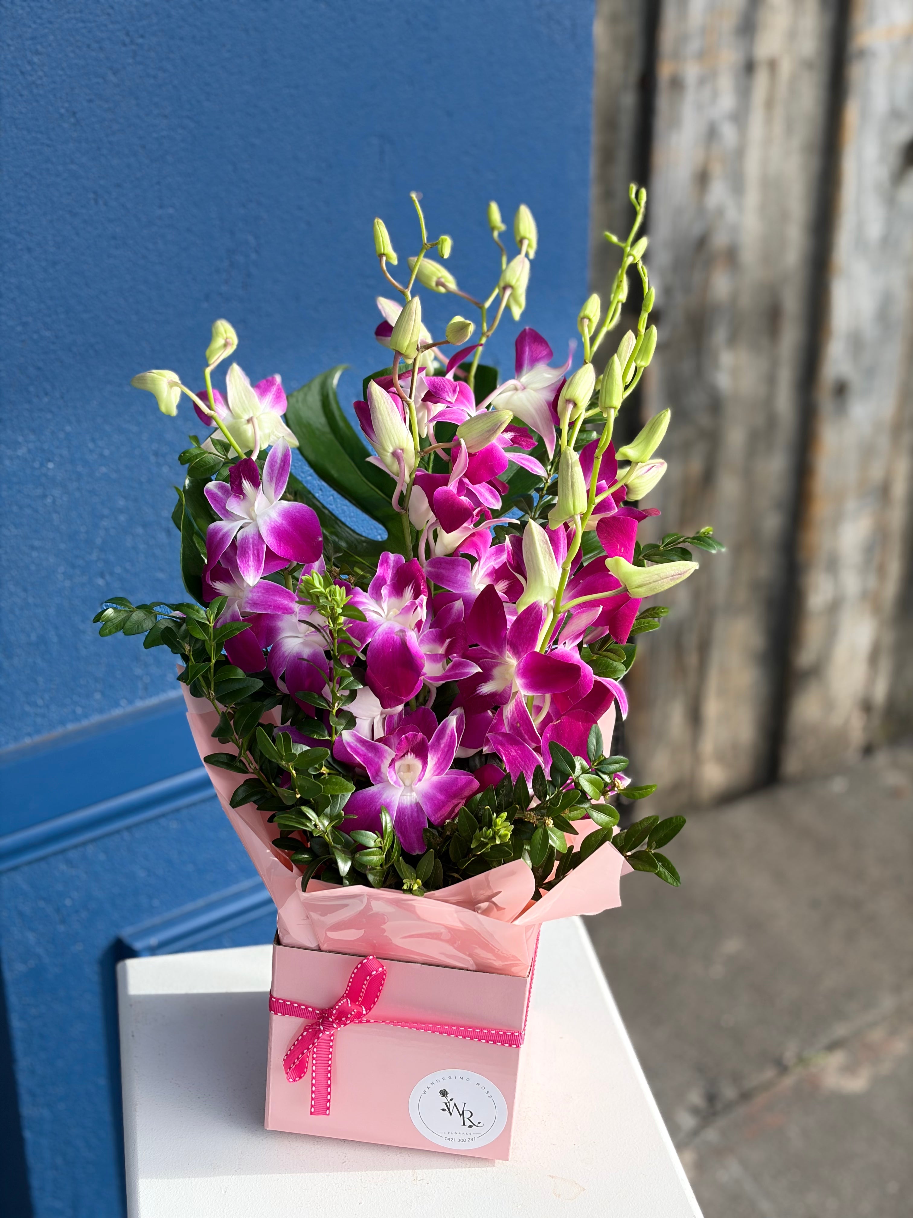 Orchid Box