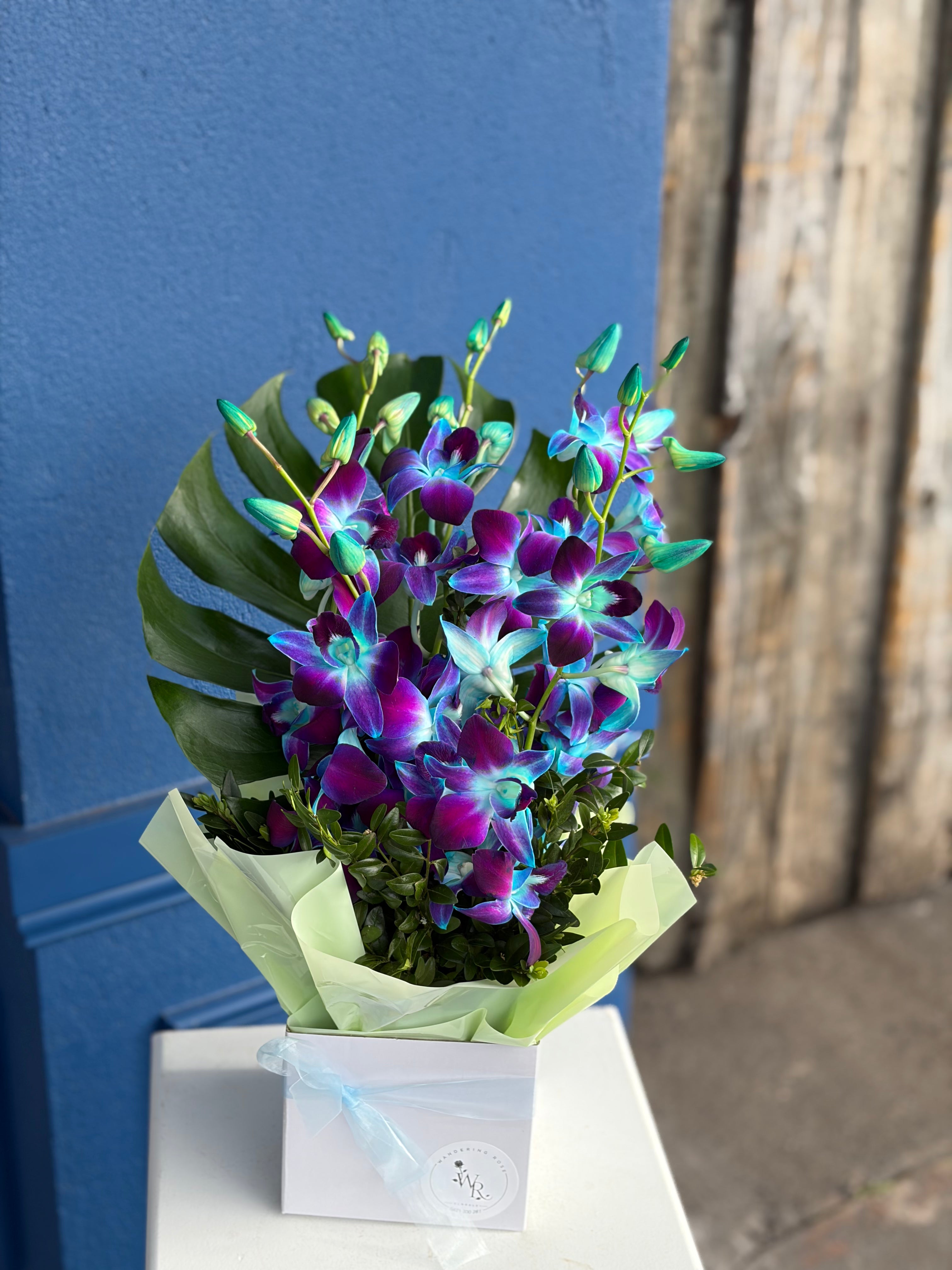Orchid Box
